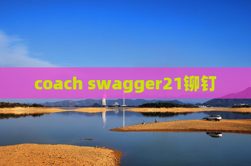 coach swagger21铆钉